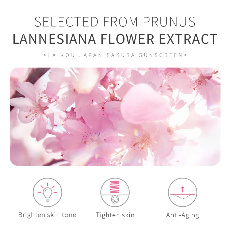 Protezione solare coreana Protezione solare solare per il viso Spf50 Lozione isolante Crema per la cura della pelle Laikou 50g Sakura ​ Crema rinfrescante