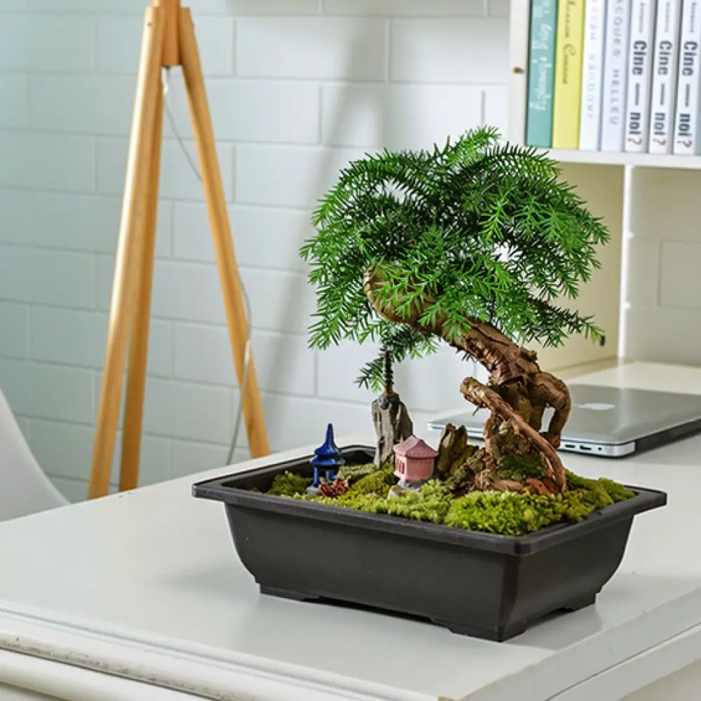 Lightweight Plastic Flower Pot Zisha Bonsai Planter Breathable Durable Indoor Succulent Pot For Balcony Tabletop