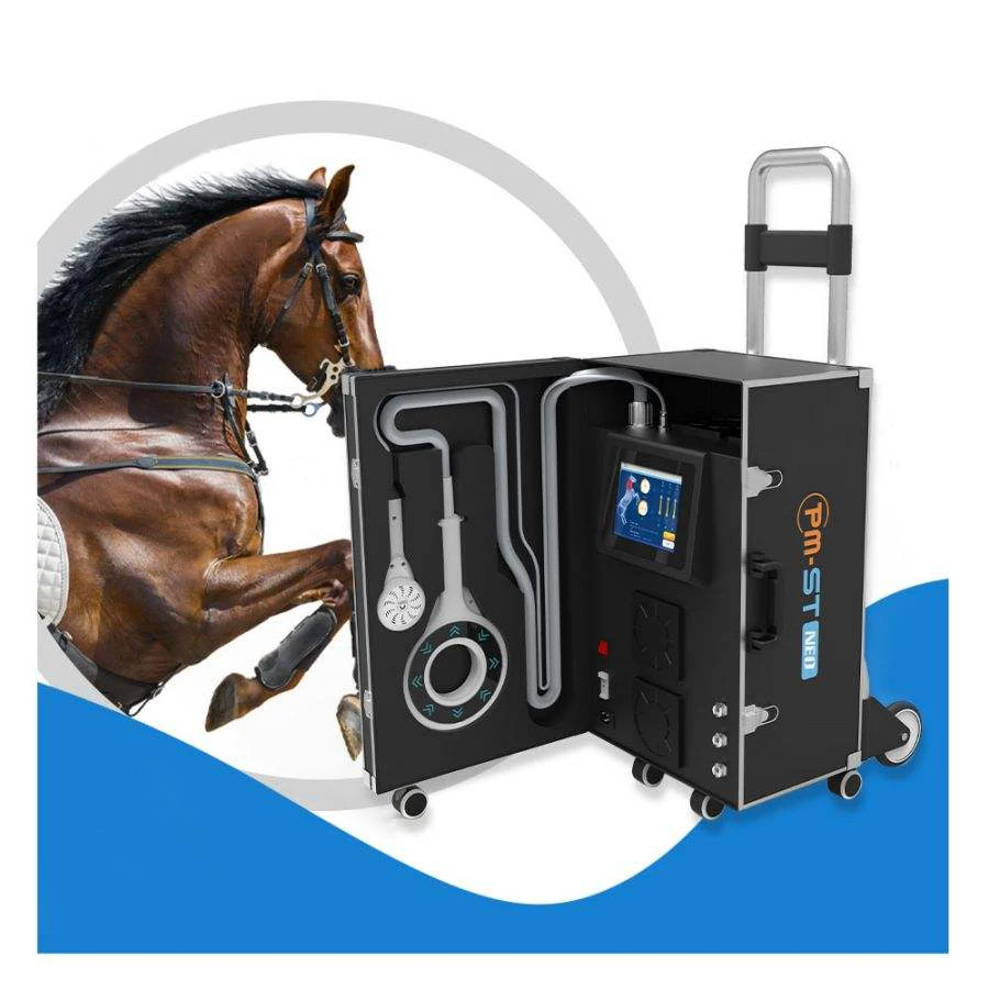 Veterinary Pain Relief Magnetic Therapy Physical Rehabilitation Device For Horse Health Care