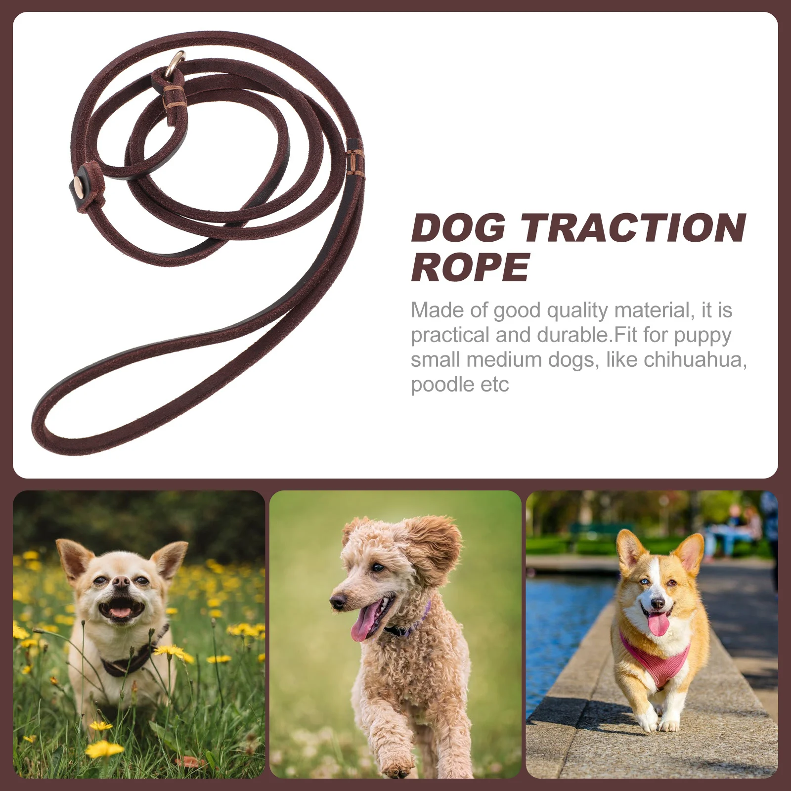 

1Pcs Premium Dog Leash Strong Long Rope for Poodle Chihuahua Daily Use Camping Running Pet Walking Traction Rope
