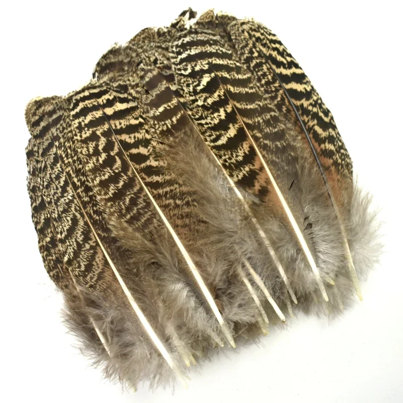 10Pcs Natural Peacock Bird Feathers Decoration Eagle Small Pheasant Feather Crafts Decor Hats Carnival Wedding Jewelry Creation – Detail 4