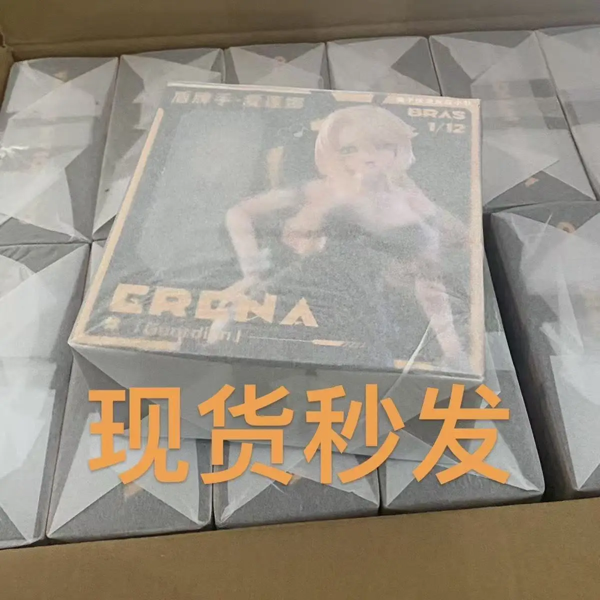 

Sushing Rabbit Rapid Response Team Shield Bearer • Elena 1/12 Movable