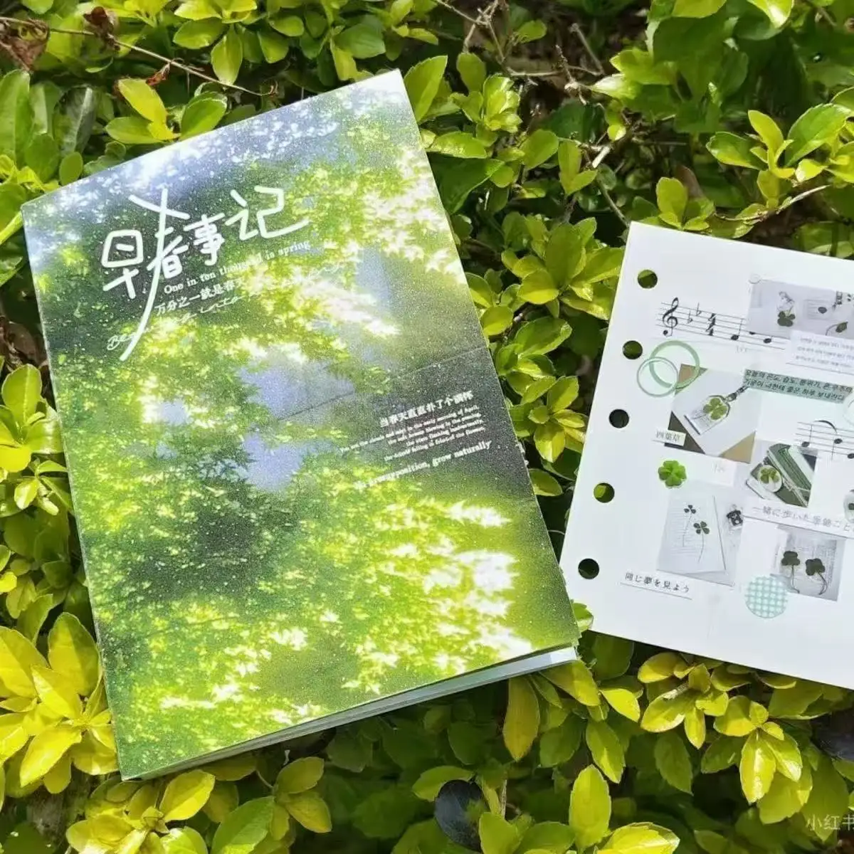 Early Spring Events Sticker Book Ins Style Retro Small Fresh Cut Film Sticker Book Student Account Decoration Material Gift 2026