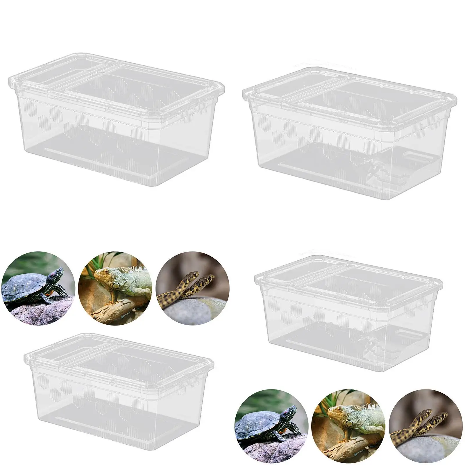

Коробка для кормления рептилий, прозрачная клетка для дома, коробка для разведения, контейнер для инкубации, держатель для лягушки, тарантулы, ящерицы, мини-жимея для домашних животных