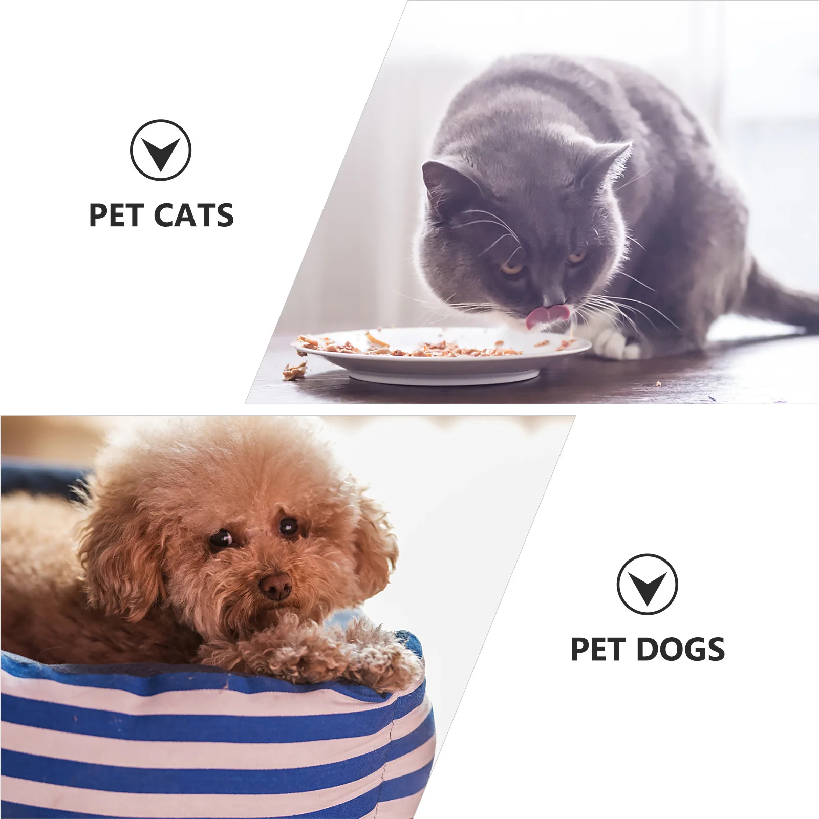 

Heart Shaped Pet Food Mat Waterproof Anti Skid Silicone Dog Feeding Pad Easy Clean Floor Protector for Pets Small Creative