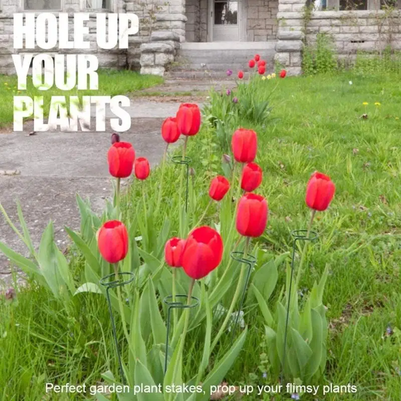 K3KA Stake Bracket Homeformy Seteding Planting Froft Frowth Support Holder