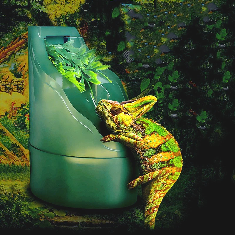 fournitures-de-boisson-pour-reptiles-distributeur-d'eau-vivante-fournitures-d'arrosage-pour-lezards-machine-d'alimentation-en-eau-automatique-pour-reptiles-accessoires