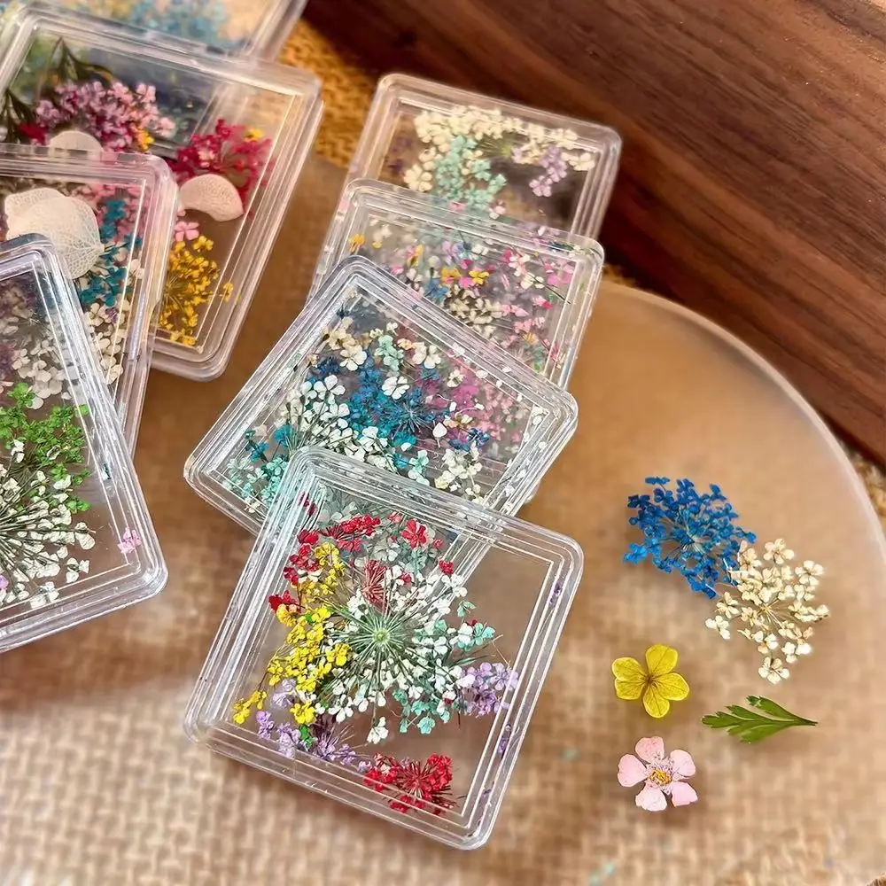1Box Fresh Natural Dried Flowers Nail Art Decorations Vintage Multi-Color Mini Floral Nail Decor Wildflower Petal Nail Supplies*
