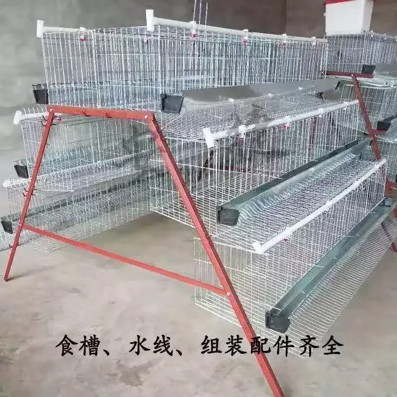 Free Shipping Hot Dip Galvanized Stepped Layer Chicken Cage 4 Door Automatic Rolling Egg Collection System for Poultry Farm