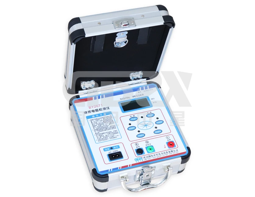

2500V Digital Megameter Insulation Resistance Meter