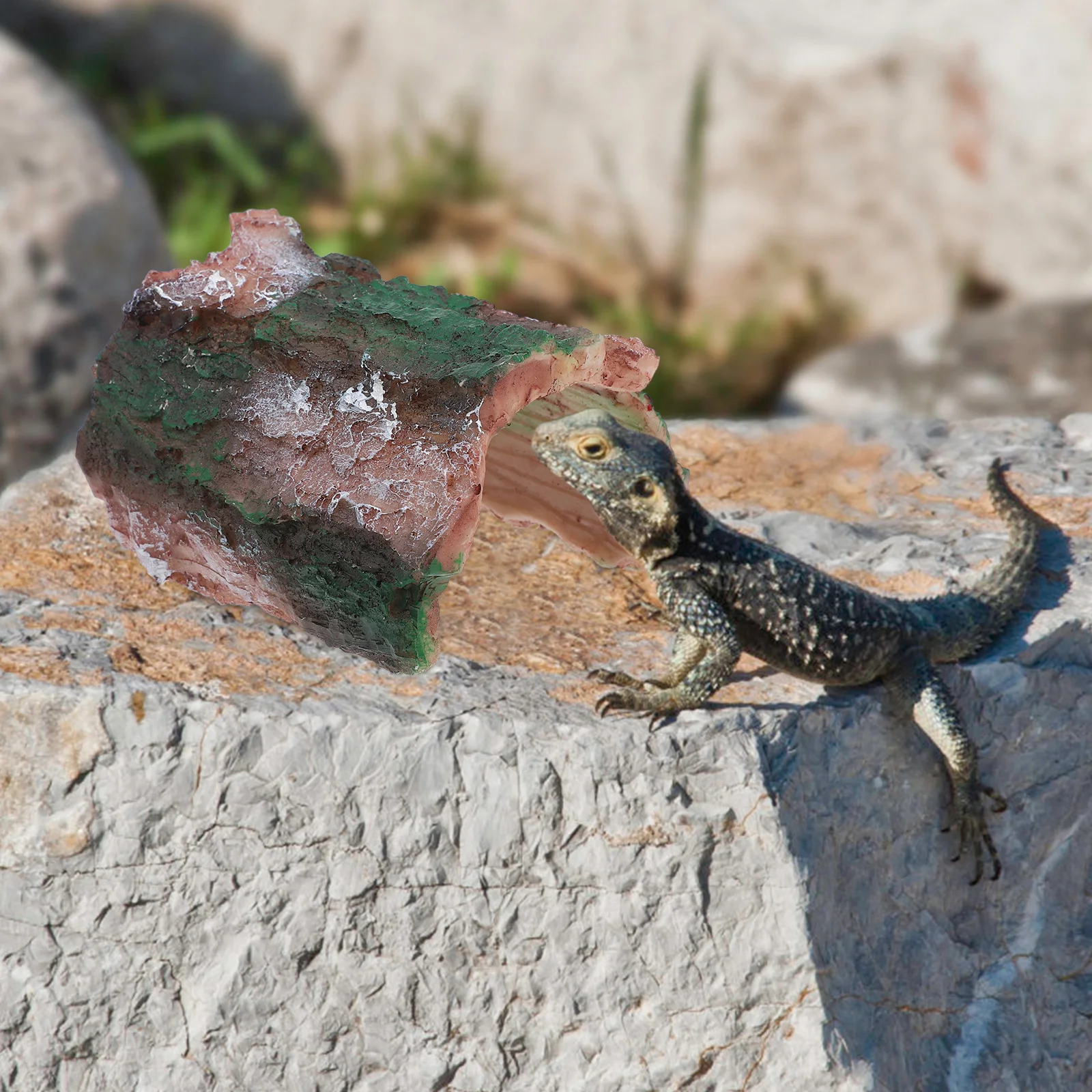 

Fish Tank Aquarium Hideout Tree Hole Resin Decoration Natural Style Fish Shrimp Shelter Aquarium Cave Ornament for Fresh Salt