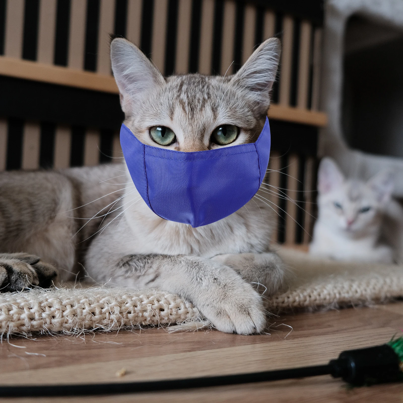 

Anti-bite Cat Mouth Cover Pet Nylon Muzzle Kitten Breathable Mask Grooming Bath Injection Durable Closure Design Pet Supply