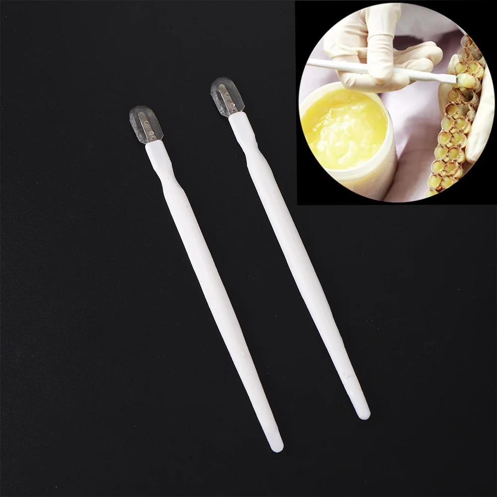 20Pcs Portable Beekeeping Tools Bee Scraping Pen Royal Jelly Scraper Queen Rearing Grafting Plastic White Apiculture Garden Tool