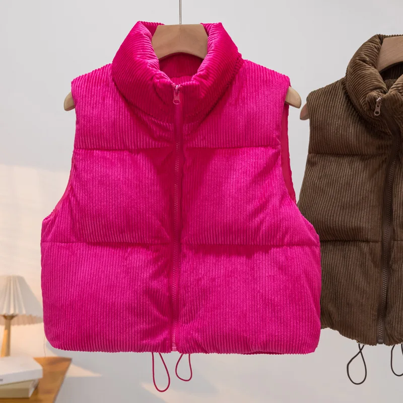 Parkas Women Short Coats Stand Collar Zipper Jackets Vest Sleeveless Thick Warm Y2k Streetwear Jacket Coat Autumn Winter 2026