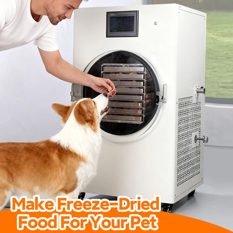 2026 Industrial Lyophilize Machine 30kg Freeze Dryer With Oilfree Vacuum Pump Cheapest Price