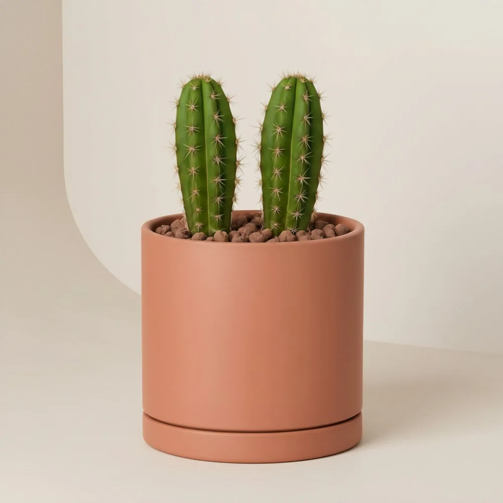 

Large 10 Inch Terracotta Plant Pot with Drainage Hole and Saucer, Round Cylinder Planter for Indoor Plants, Home Garden Decor