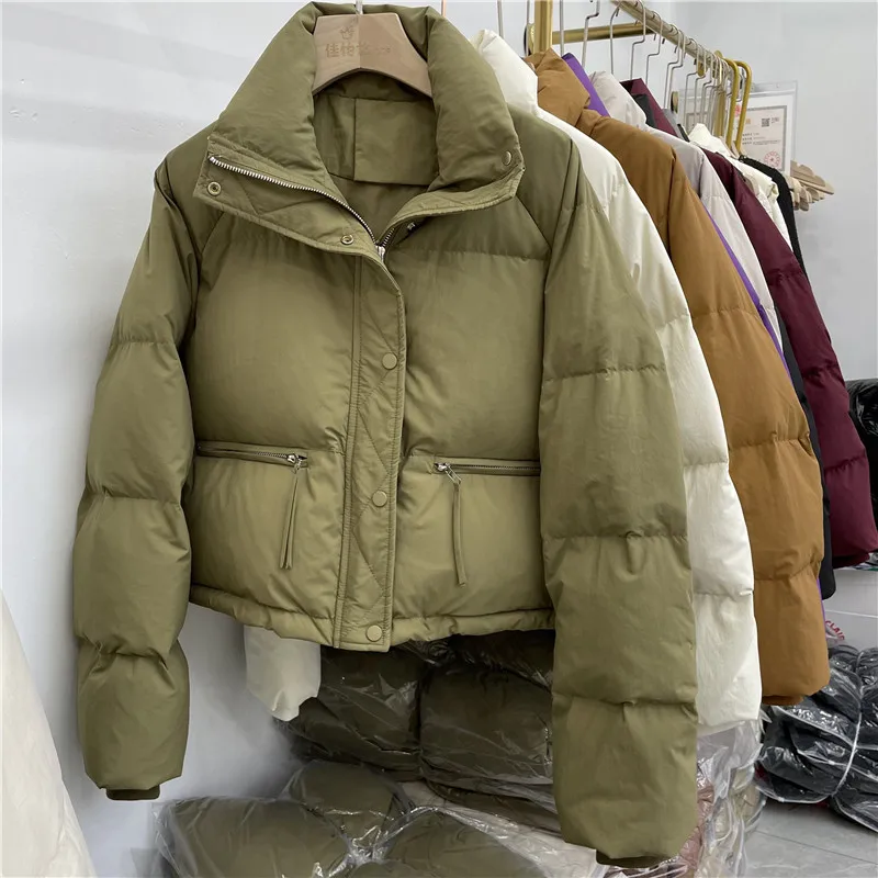 Winter Korean Version Short Stand-up Collar Down Jacket Female Simple Loose Version Zipper Solid Color Bread Suit Coat