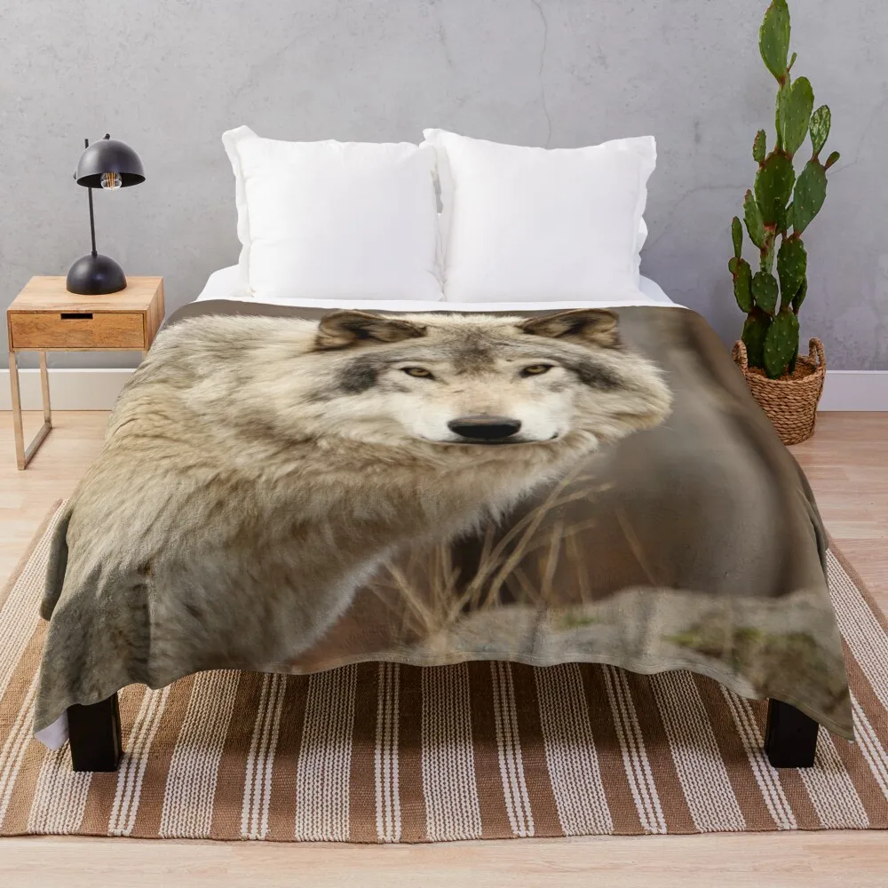 Timber Wolf Up Close Throw Blanket Blankets Sofas Of Decoration Weighted Blankets