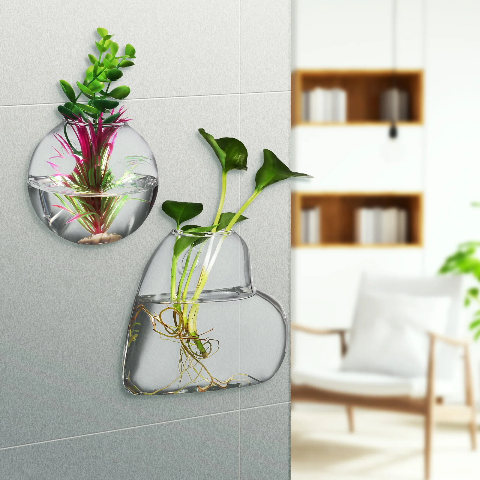 

2Pcs High Borosilicate Glass Wall Planters Propagation Stations Hanging Terrarium Indoor Plants Holder Propagation Stations