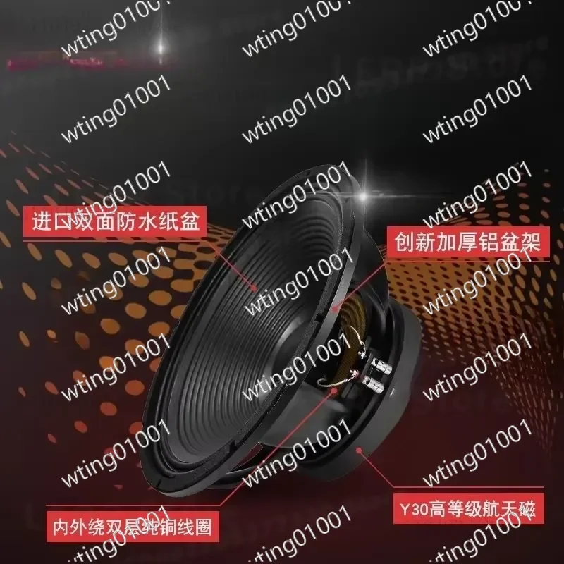 for 15 Inch Subwoofer 1000W High Power Heavy Bass Full Range Stage Audio System with 220 Magnetic 100 Coils Professional