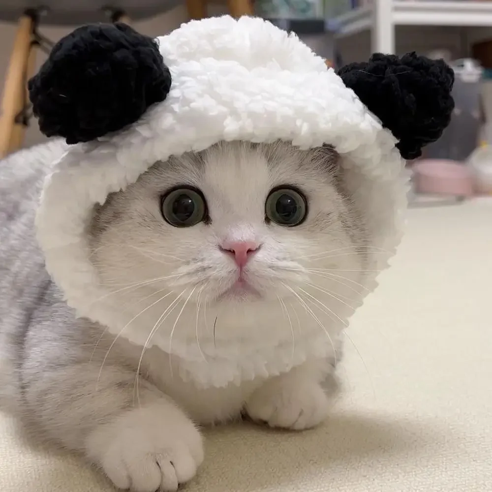 Cute Refined Cat Hat Plush Elastic Winter Pet Hat Puppy Kittens Knitted Hat Party Cosplay Props Decoration Dog Accessories Pet