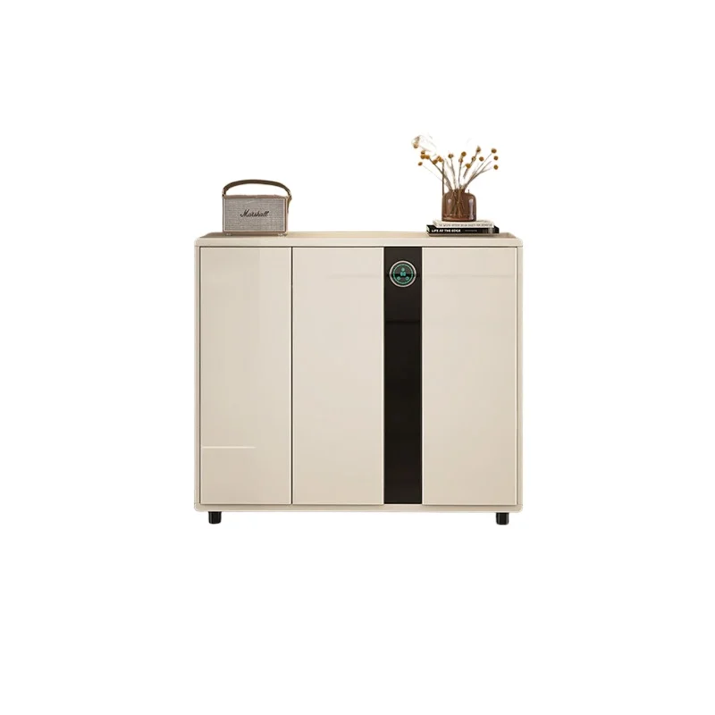 Intelligent disinfection shoe cabinet, home wall mounted indoor entrance, steel multi-layer storage cabinet