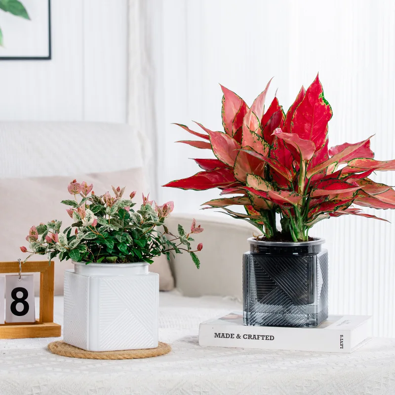 Double Layer Plastic Hydroponic Flowerpot 2