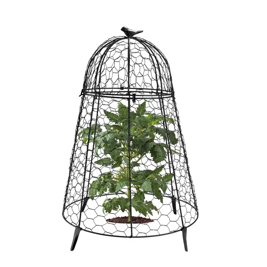 Protector Chicken W…