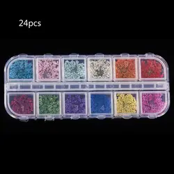 24Pcs Real Pressed Flower Anne's Lace Dried Flower Nail Art Resin Jewelry Making