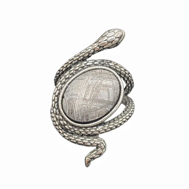 Gibeon Meteorite Statement Snake Ring Adjustable Size Natural Etched Widmanstatten Pattern Inlaid Metal Space Rock Jewelry K62