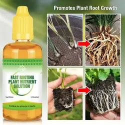 50ml Fast Rooting Plant Nutrient Solution Fertilizer  Flower Fertilizer Flowers Tree Hydroponic Nutrient Solution Dropshipping