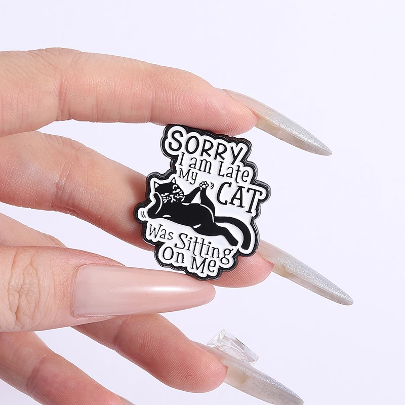 Mon chat était assis sur moi épingles en émail sorcier je suis en retard broches en métal mode revers Badge sac à dos vêtements bijoux cadeau pour ami