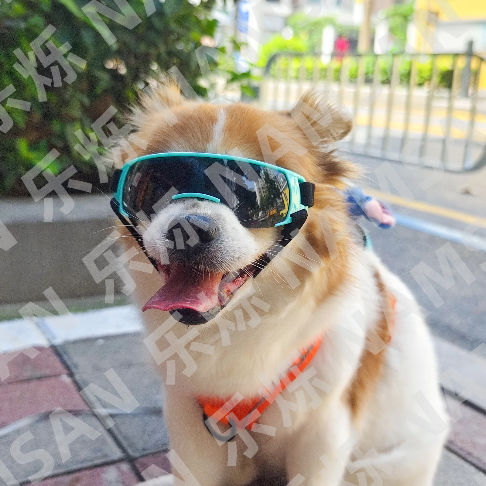 Dog Sunglasses for small to Medium Breed UV Protection Dog Goggles snow Windproof Anti-Fog cool Puppy adjustable riding Glasses