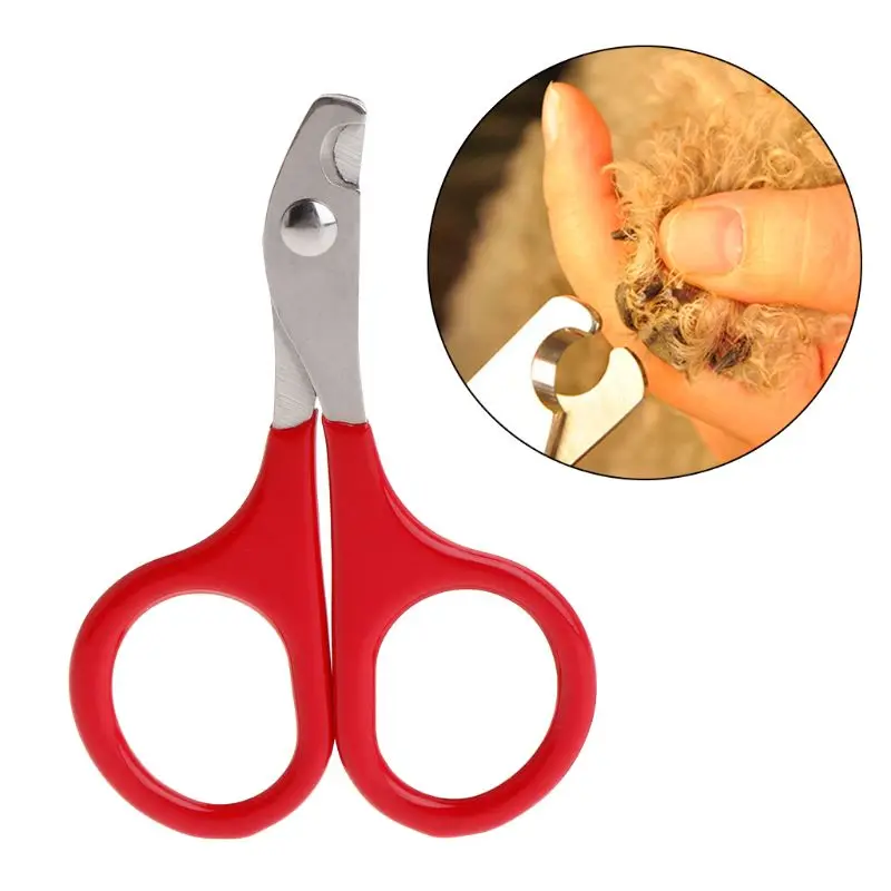 Cão para gato cortador unhas pet aparadores unhas para gato garra cortadores pet grooming tesoura para pássaros filhote