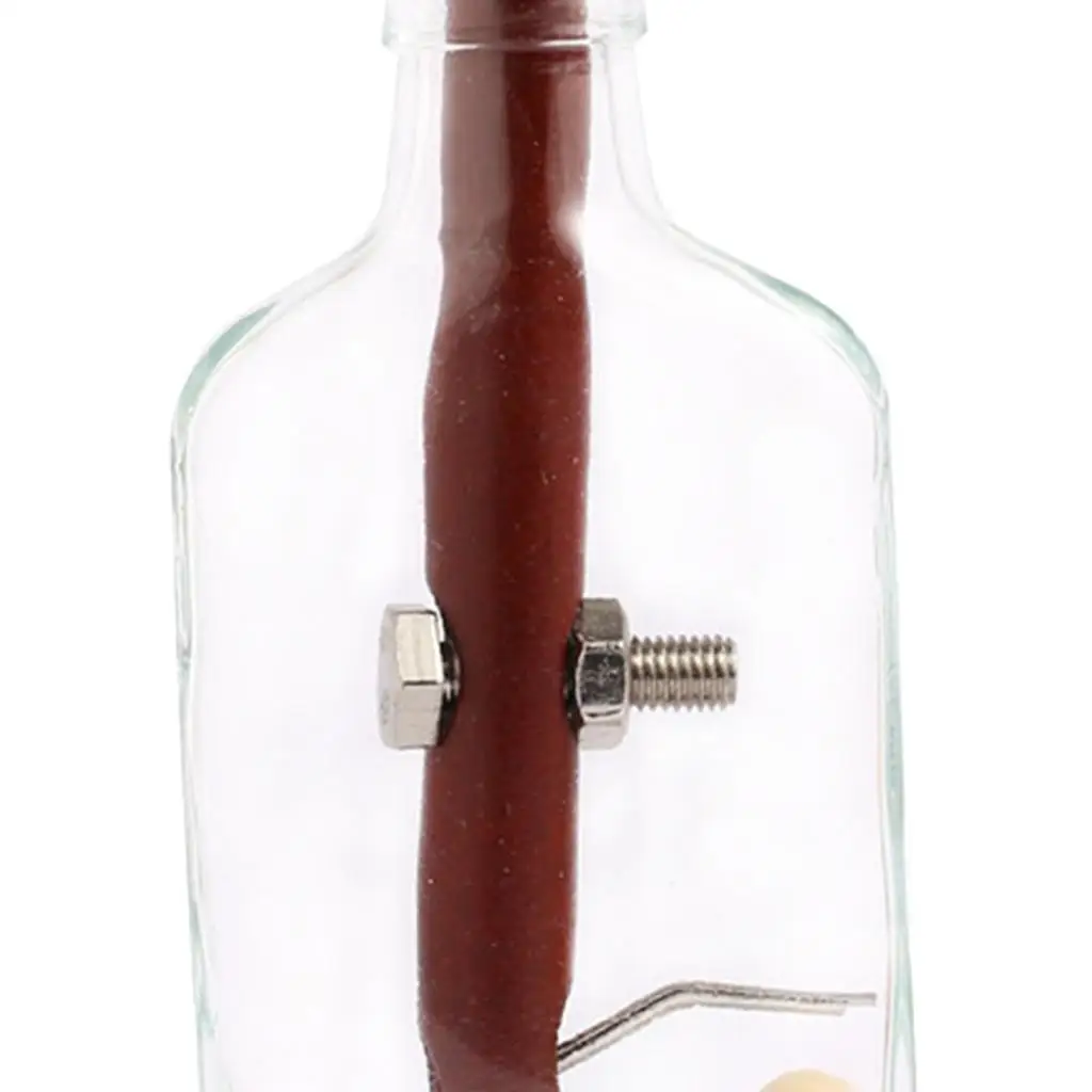 

Classic Difficulty Bottle Puzzle Assembly And Disentanglement 3D Puzzles