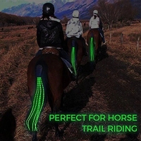 100CM LED Horse Riding Tails Decoration Luminous Tubes Horses Riding Decorations Night Visible With Flashing Light Bar Harness