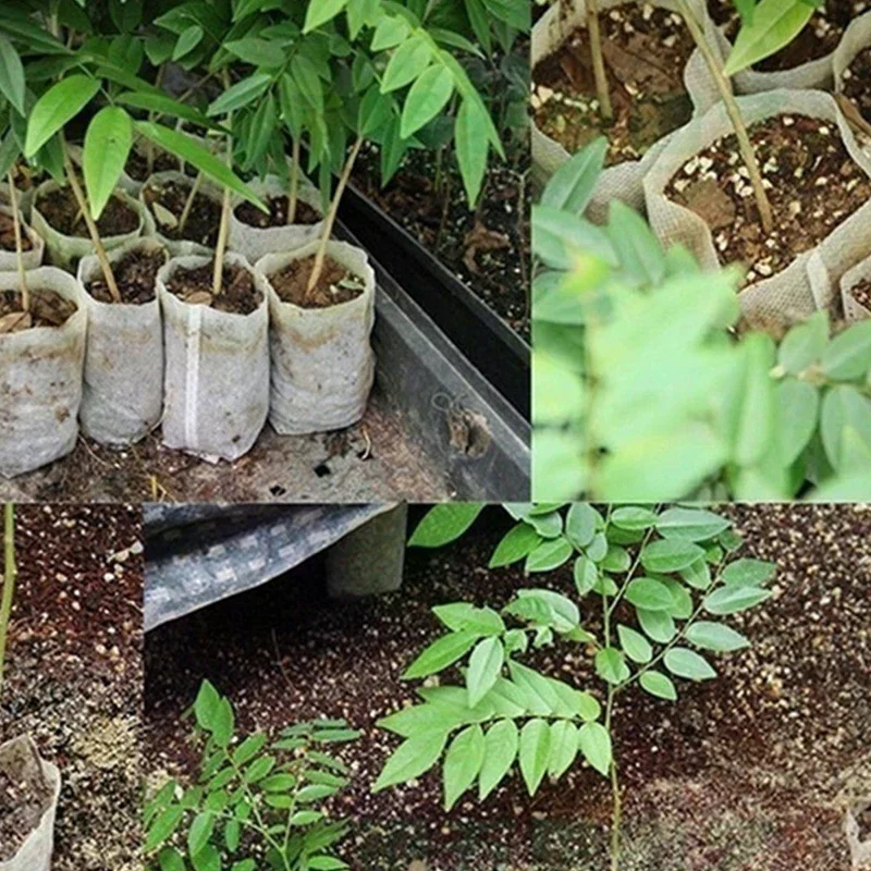 8x10cm 100枚入り 生分解性種子育苗バッグ、不織布植物育成バッグ、布製苗ポット植物ポーチ、家庭菜園用品