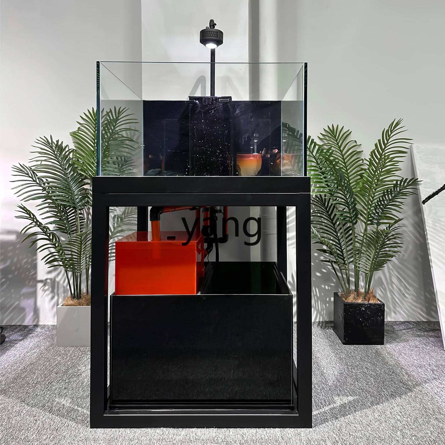 LH Super White Glass Lanshou Taishi Mary Fish Tank Native Stream Small and Medium Size Cichlids Tank Bottom Filter Aquarium