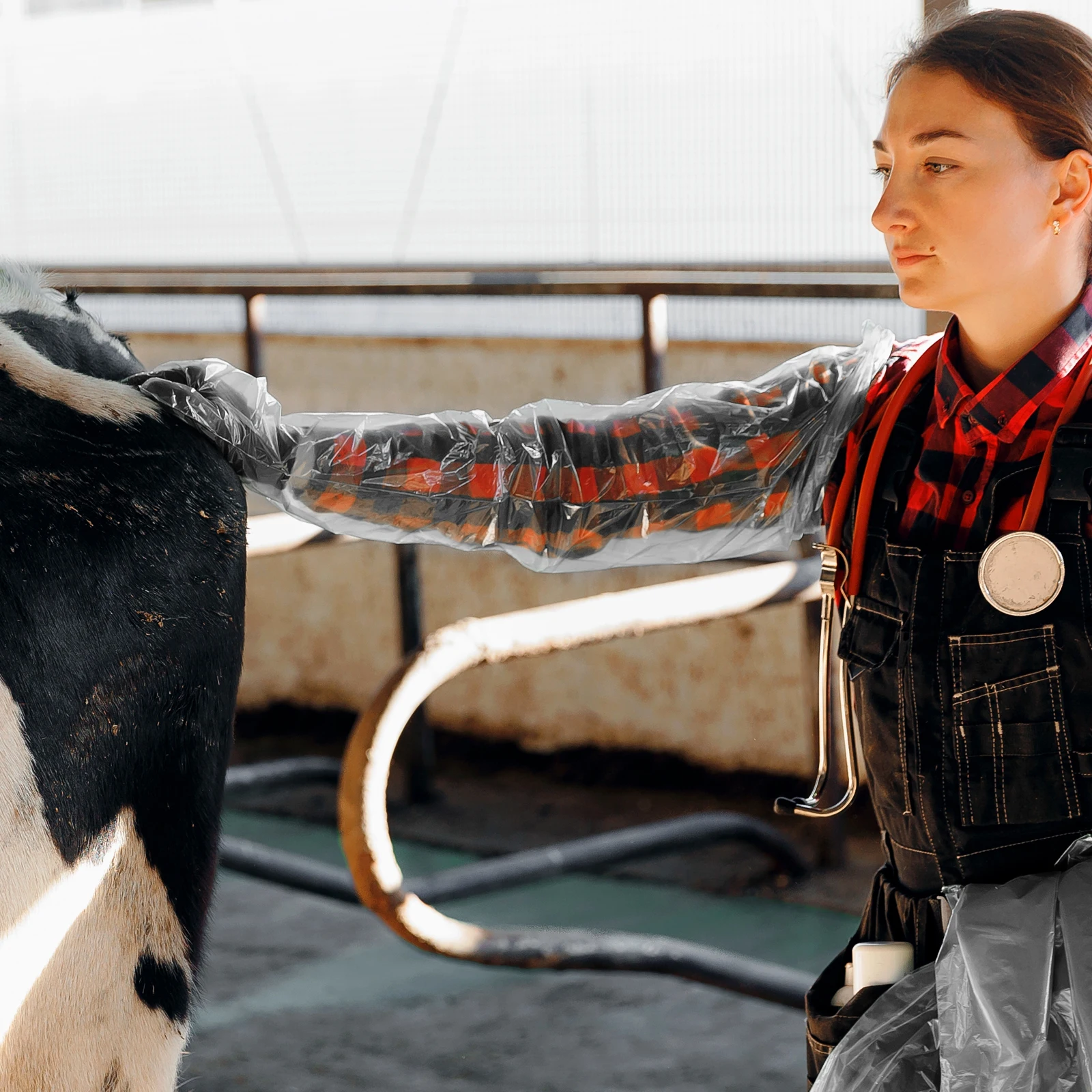 

50pcs Long Arm Gloves 85cm Lightweight Eco-Friendly Disposable Gloves for Cattle Horse Pig Pregnancy Examination