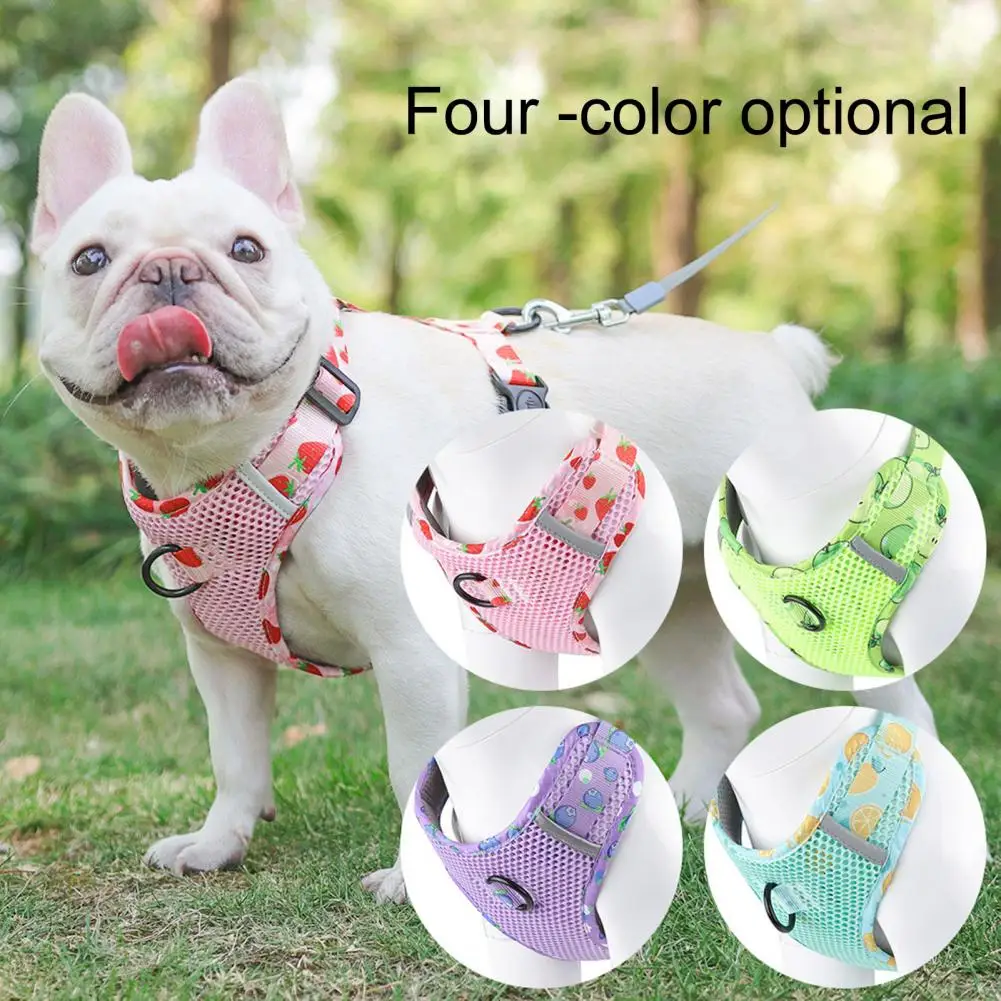 Pet Traction Harness Large-hole Mesh Chest Fruit Print Chest Dog Traction Rope Dog Collar Seat Belts