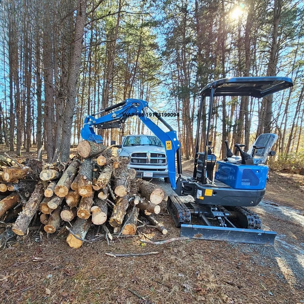 RIPPA  R10 Mini Excavator Ce Certificated 1000Kgs 1Ton Mini Excavator for Sale Garden Machinery Digger