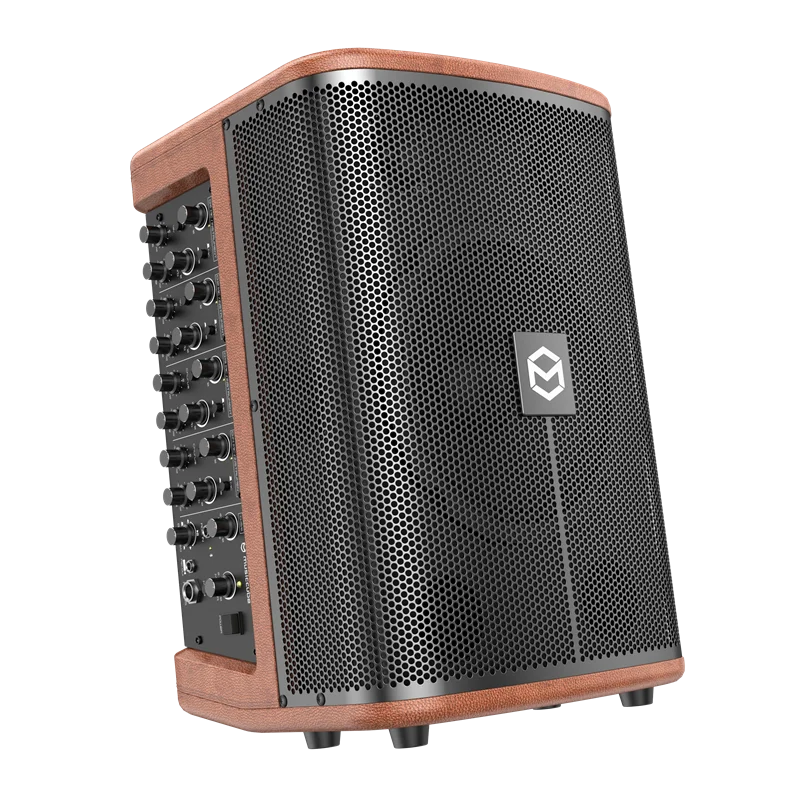 

2024 New Design Gold Wooden Bluetooth High Power Portable Outdoor Speaker Service for Parties, Small Gatherings, Performances