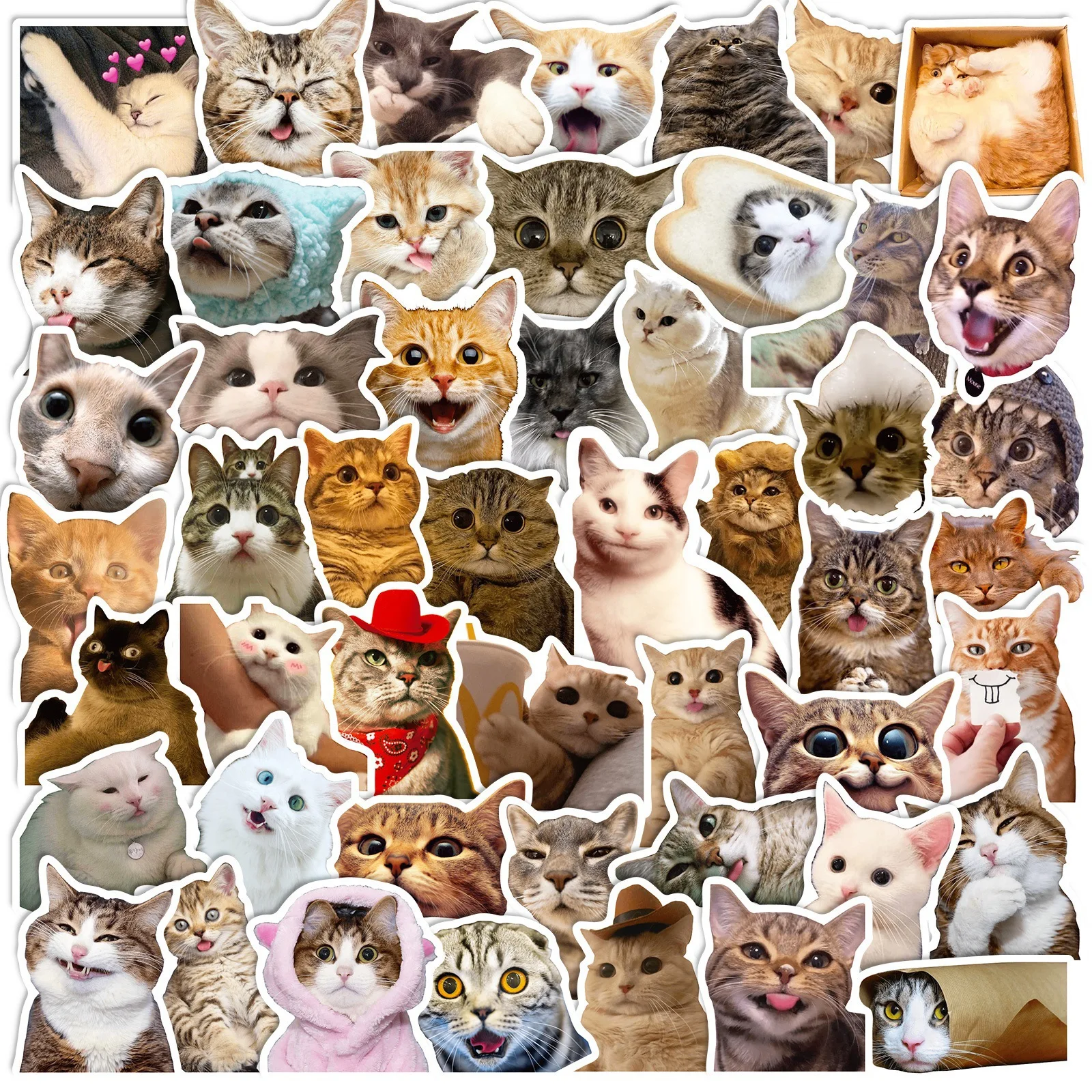 50Pcs Cat Stickers Cute Pet Cute Internet Celebrity Cat Emojis Graffiti Stickers Phone Cases Water Cup Stickers