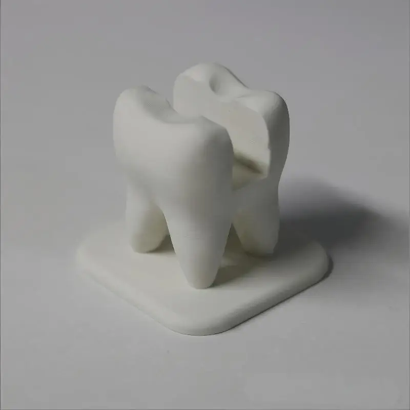 Creative Teeth Style Business Card Organizer Non-Slip Display Stand for Dentist Office Front Desk Decor