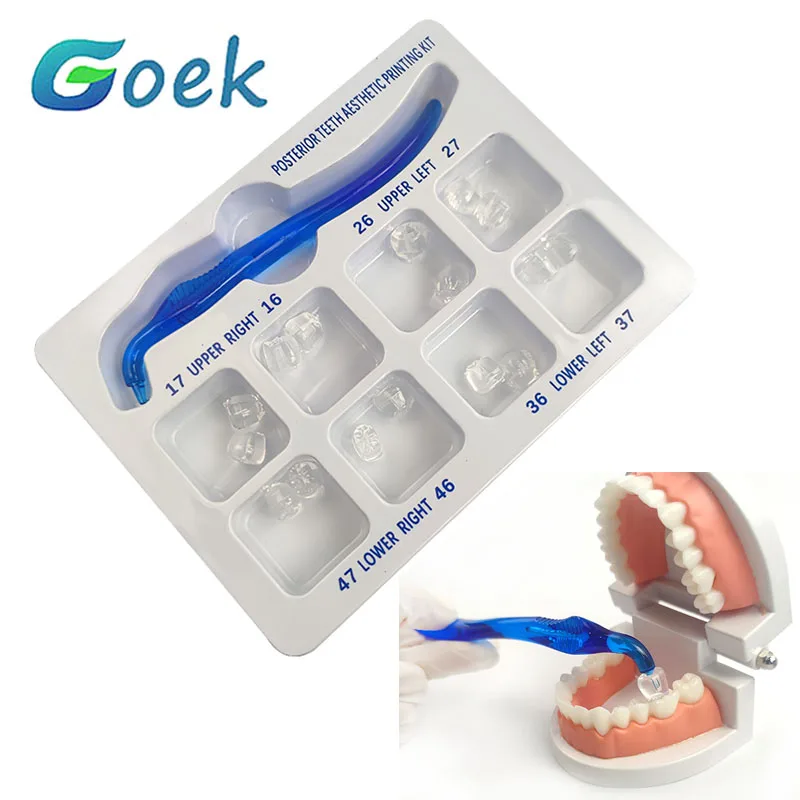 

Dental Posterior Teeth Aesthetic Printing Kit For Light Cure Composite Restoration Filling Mould Tools Dentistry Materials