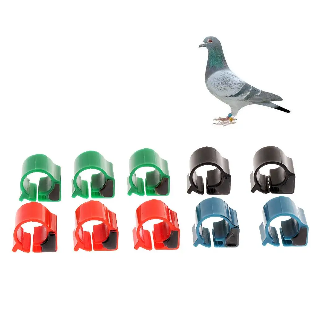 10x Bird Pigeon Electronic Chicken Duck Foot Ring Tag for Tracking