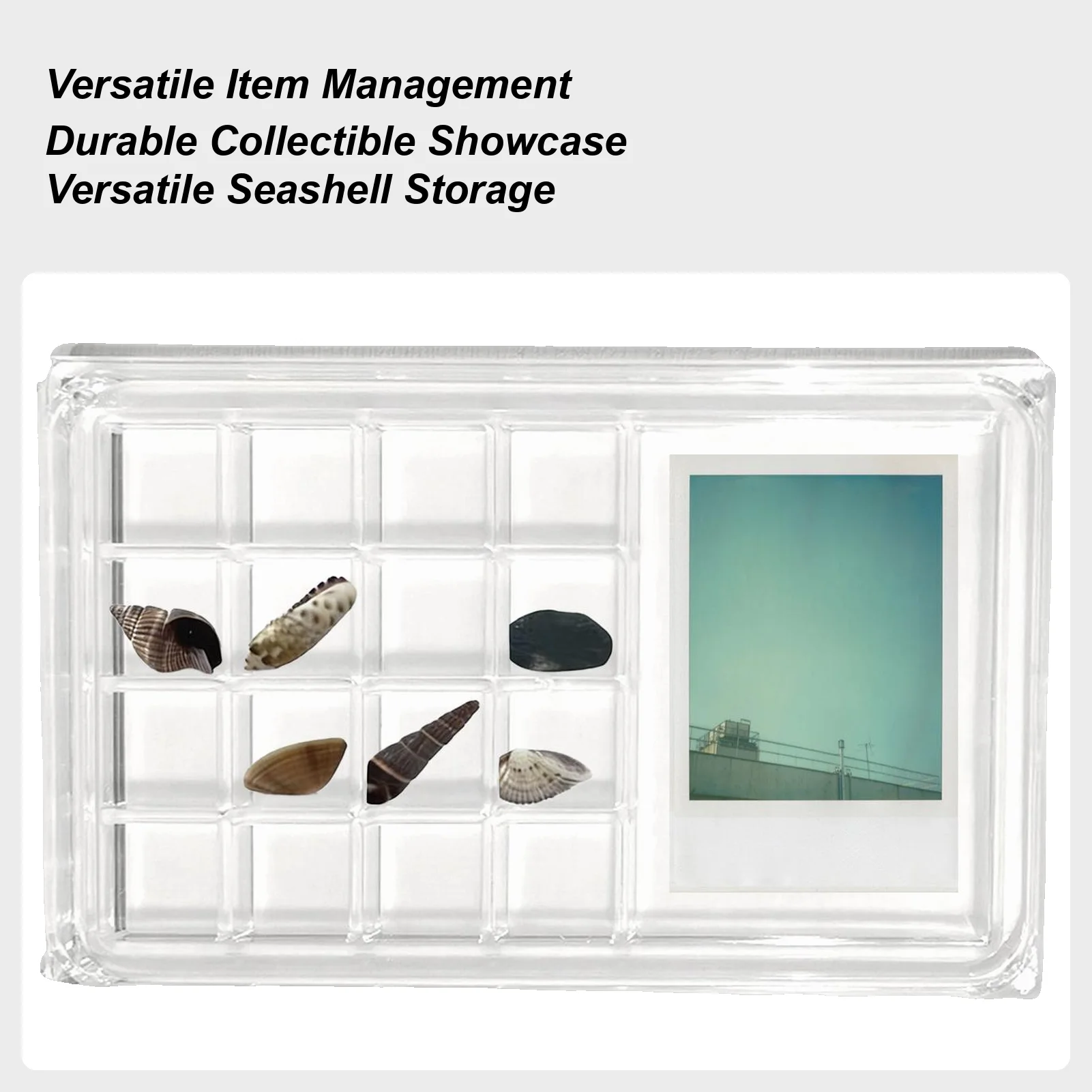 

Seashell Holder Box Magnetic Clear Acrylic Storage Sea Shell Display Container For Home Office School Living Room Bedroom Study