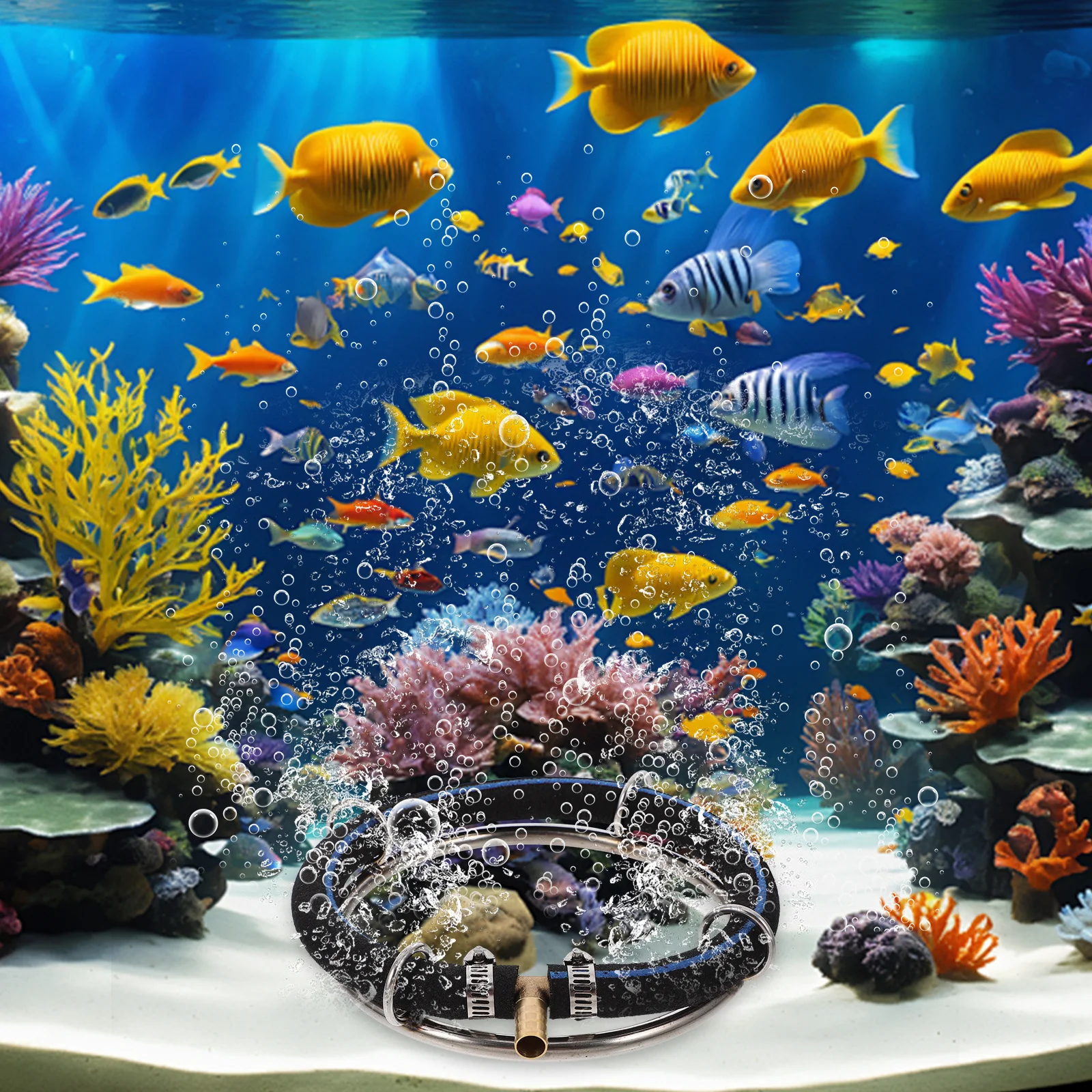 

Premium Stainless Steel Air Diffuser Ring for Fish Tank and Pond Enhanced Oxygenation Bubbler Water Quality Improvement