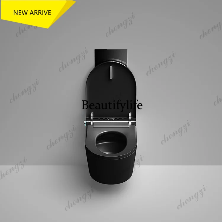 AB01  Matt Black Smart Toilet Flushing P-Trap Bidet In Black Color One Piece Toilet