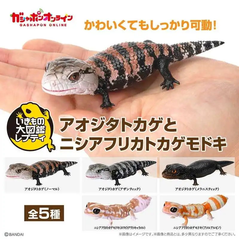

Genuine Popularity Gacha Biological Encyclopedia Japanese Gecko Bearded Lizard Action Figure Model Toys